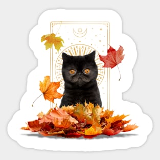 Fall Tarot Cat Sticker